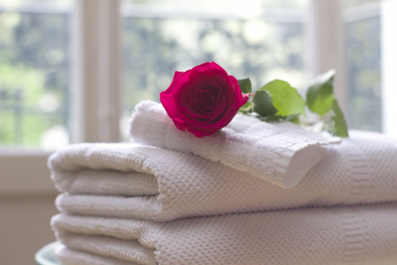 hotel-FREJUS-min_towel_rose_clean_care_salon_spa_white_bath-731641